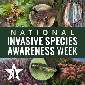 Mitigating the impacts of invasive species and diseases in Texas